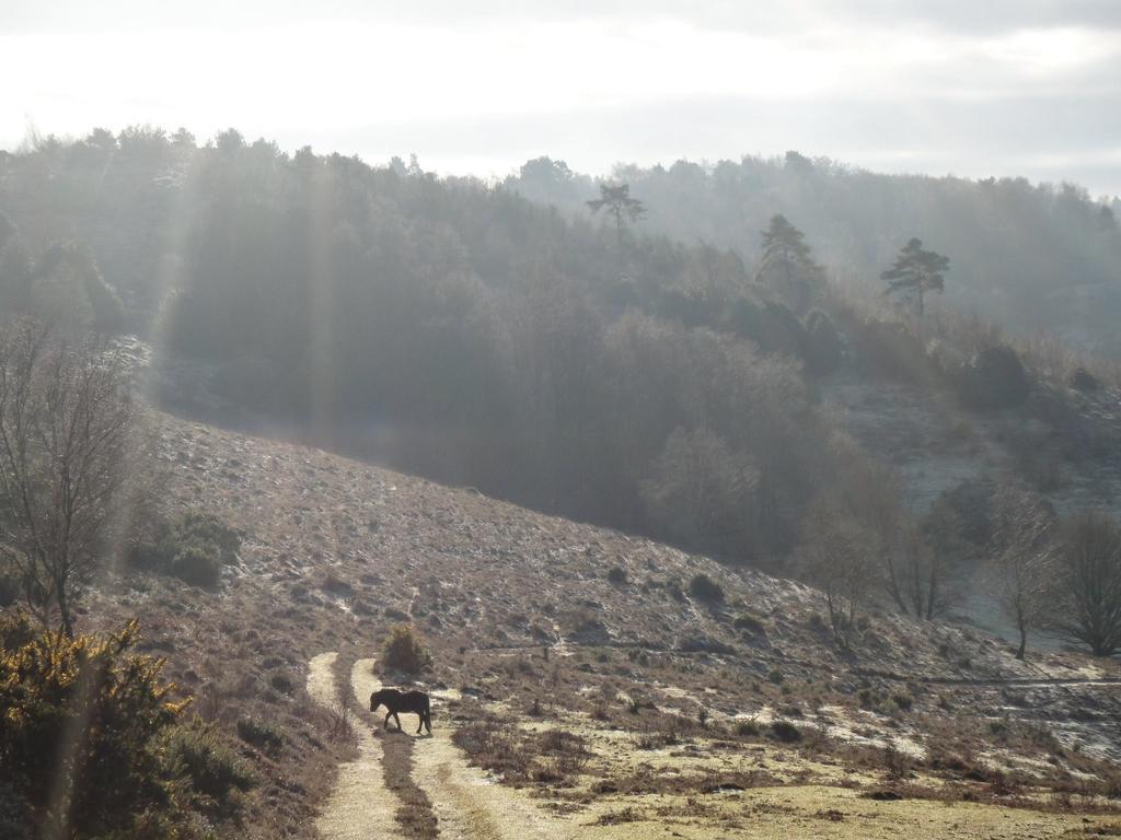 Villa The Old Cook'S House Hindhead Zimmer foto