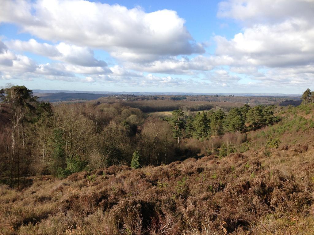 Villa The Old Cook'S House Hindhead Zimmer foto